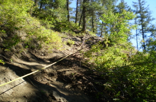Ropes have been put in to assist in getting up and down the steep sections, Enderby Cliffs 2010-08.